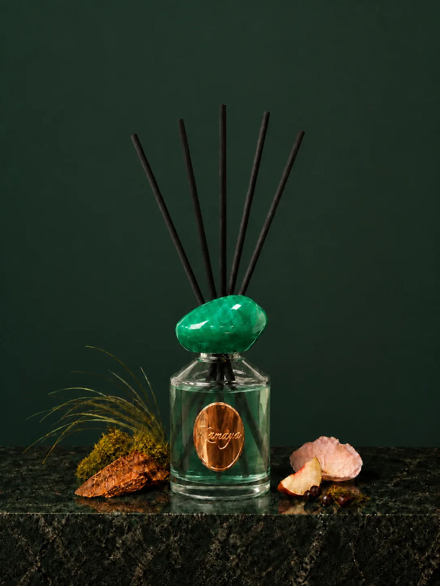 Émeraude Lumière Reed Diffuser — studio