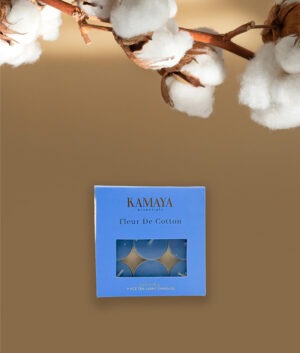 9 pack with 10 gms tea lights in color box